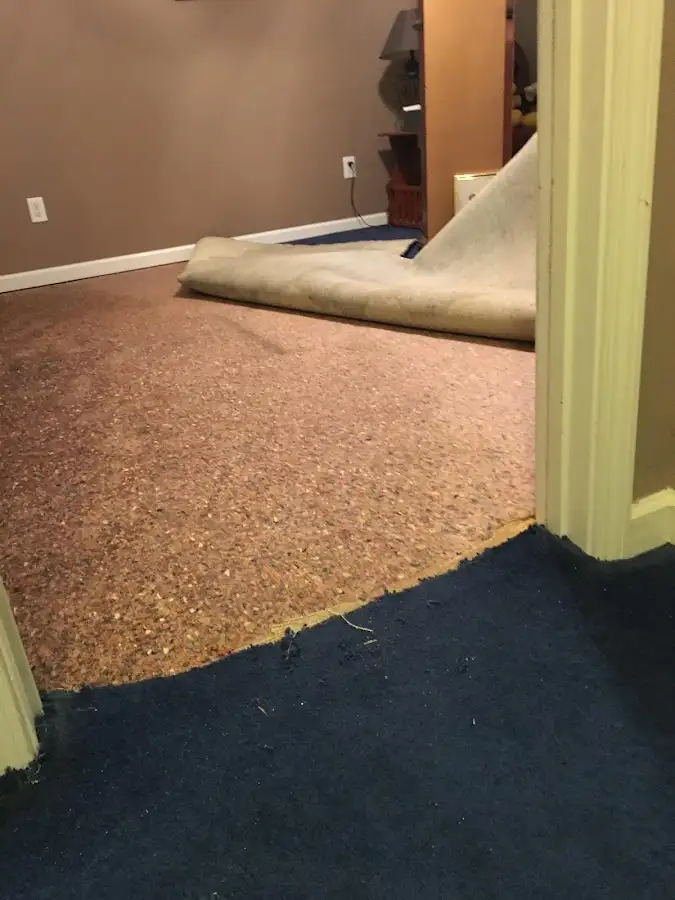 Carpet pad removal revealing water damage during Drying & Dehumidification in West Lealman