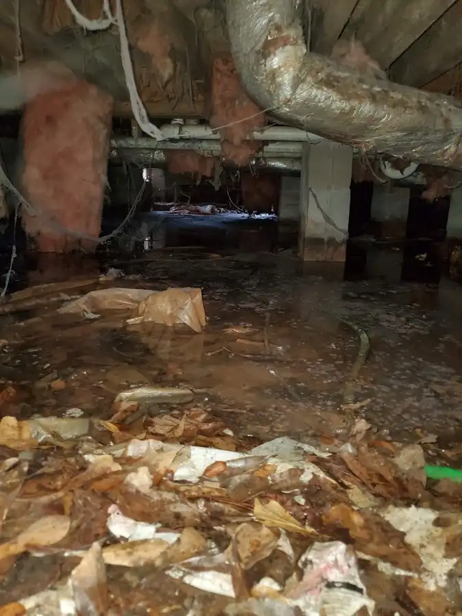 Crawl space flood assessment for Commercial Water Damage Restoration in West Lealman