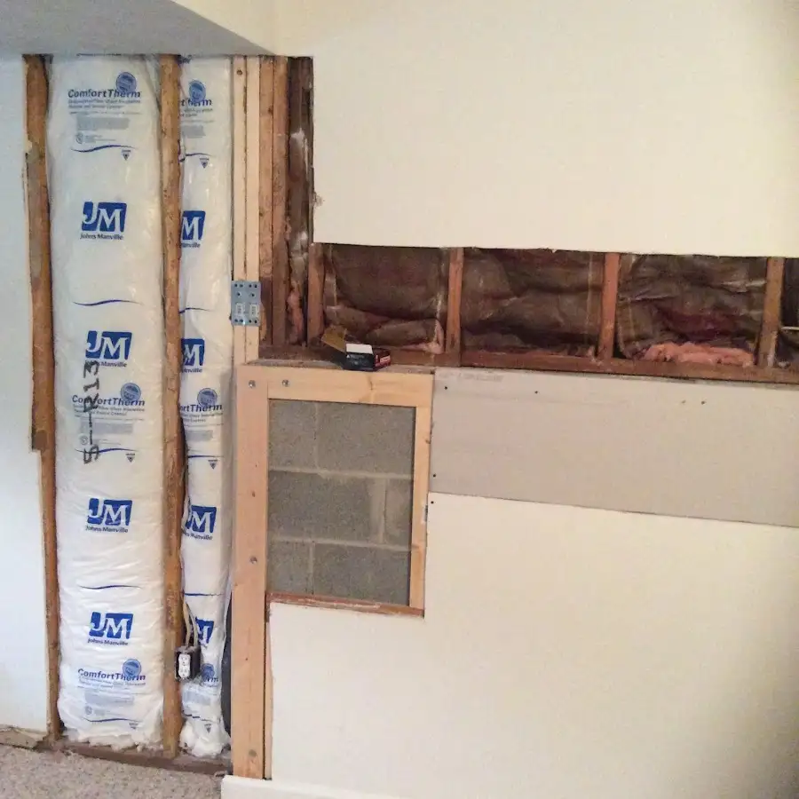 Wall insulation replacement during Basement Flood Cleanup in West Lealman